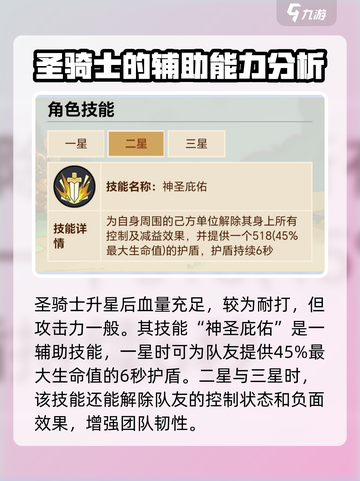 英勇之地圣骑士怎么样介绍截图4