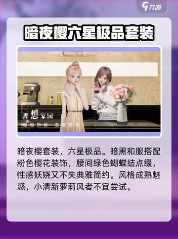 以闪亮之名套装图鉴介绍截图4