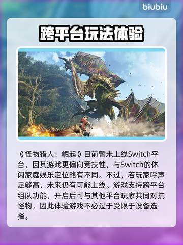 怪物猎人荒野✅Switch跨平台玩法师截图2