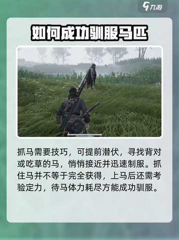 燕云十六声马怎么获得介绍截图4