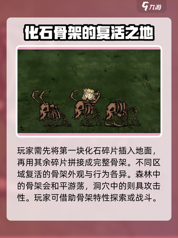 饥荒联机版🔥化石碎片大揭秘！💎截图3