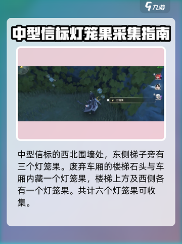 鸣潮灯笼果在哪介绍截图3