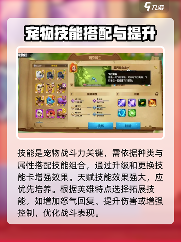万龙觉醒🔥宠物培养秘籍，轻松养成完美战宠！截图4