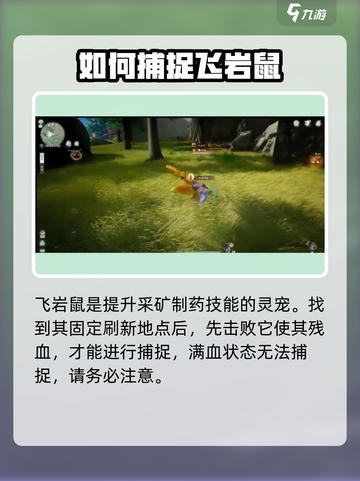 仙剑世界🔥飞岩鼠捕捉秘籍！轻松搞定💡截图3