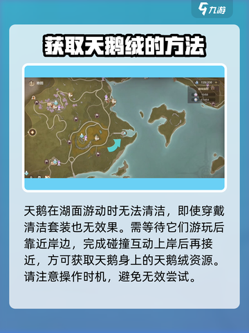 无限暖暖🔥玫色天鹅绒获取秘籍💎截图3