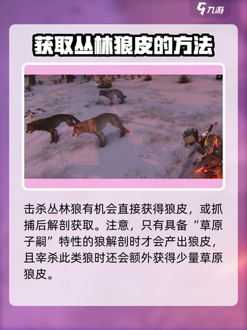 七日世界丛林狼皮怎么获得介绍截图4