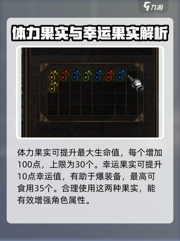 奇迹mu果实每项能吃多少介绍截图3