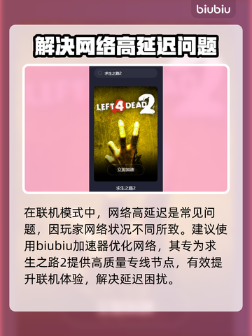求生之路2延迟高？加速器解决方法🔥🎮截图2
