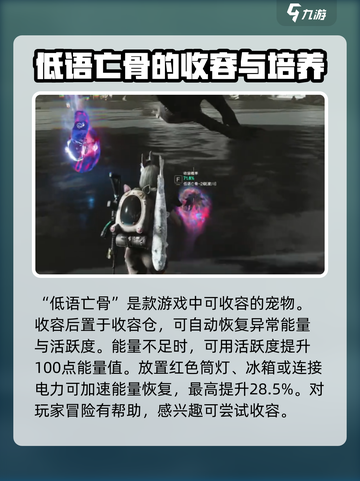 七日世界低语亡骨收容怎么获取介绍截图4
