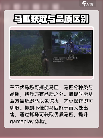 燕云十六声马怎么获得介绍截图2