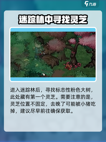 大侠立志传灵芝在哪介绍截图3