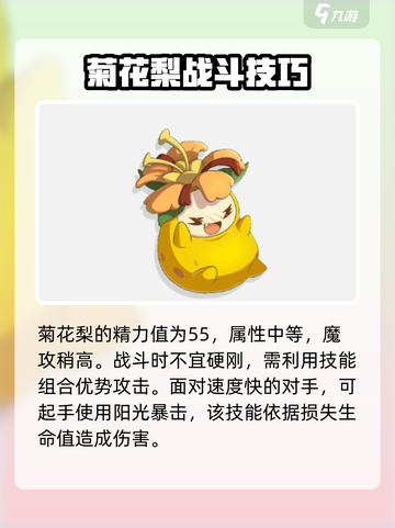 洛克王国🔥宠物战士大揭秘！最强推荐💥截图2