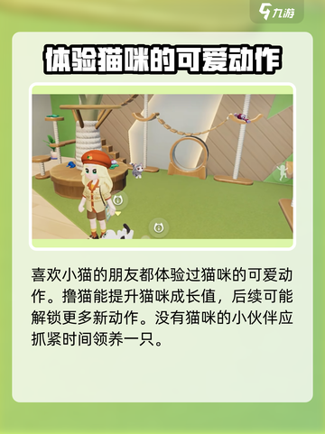 心动小镇🔥撸猫玩法大揭秘！猫咪爱好者必看🐾截图5