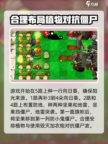 植物大战僵尸杂交版加农炮2通关🔥秘籍来了！游戏技巧大公开💥截图2