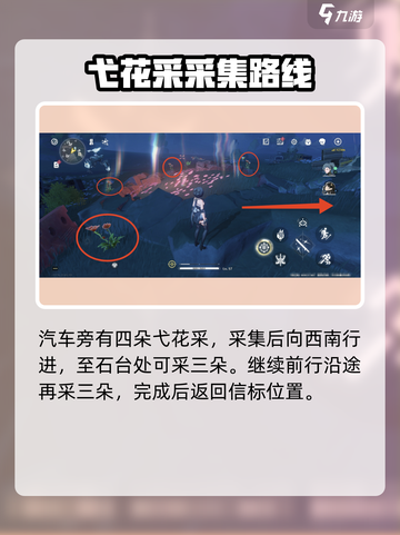 鸣潮妙弋花采集在哪采介绍截图3