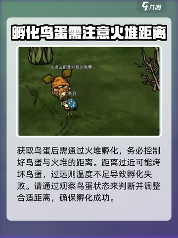 饥荒联机版🤩高脚鸟蛋孵化方法大公开🎉截图3