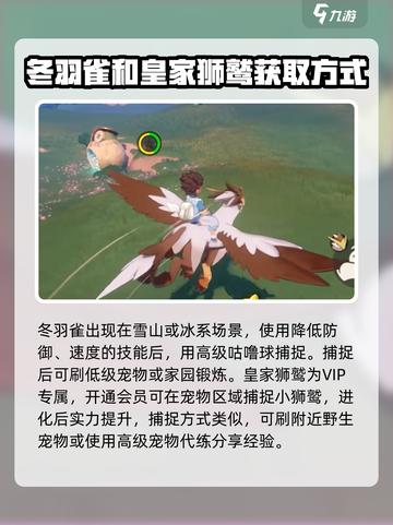 洛克王国世界精灵坐骑推荐介绍截图4