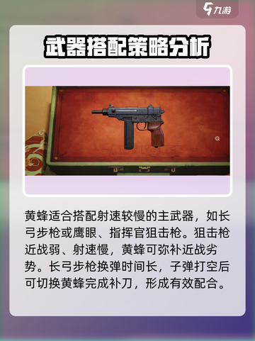 王牌战士2黄蜂怎么样介绍截图4