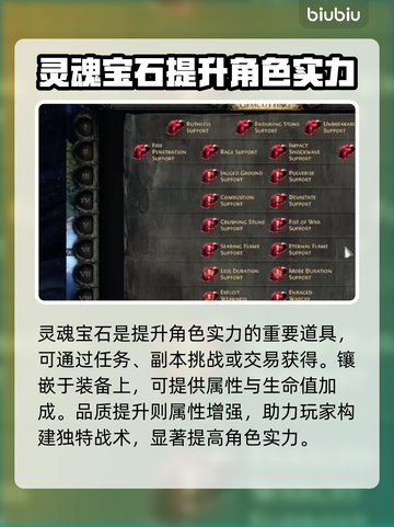 流放之路2🔥灵魂宝石作用大揭秘！💎截图2