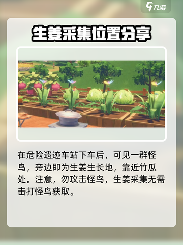 波西亚时光生姜在哪儿介绍截图3