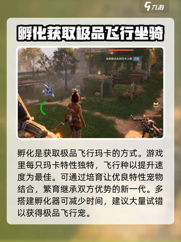 荒野起源飞行坐骑怎么得介绍截图3