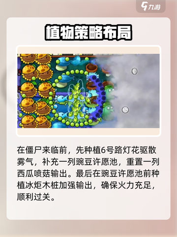 植物大战僵尸杂交版第19关打法🔥超详细攻略来啦！🎉截图5