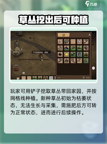 饥荒新家园怎么给草施肥介绍截图2
