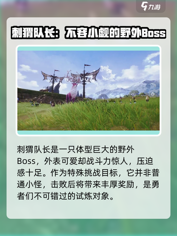 剑灵2🔥刺猬队长打法攻略✨轻松通关秘籍！截图3
