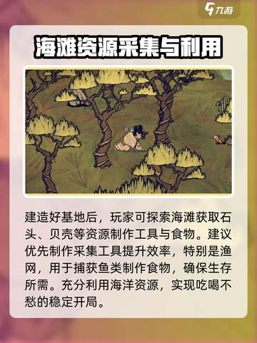 饥荒新家园海滩开荒技巧有哪些介绍截图3