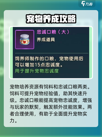 魔力宝贝复兴宠物道具大全介绍截图3