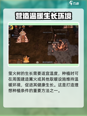 饥荒新家园🔥萤火树种植技巧大公开！💡截图4