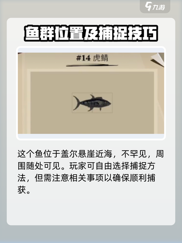 渔帆暗涌虎鲭在什么地方介绍截图2