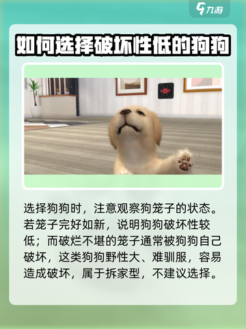 梦幻小狗怎么选狗介绍截图4