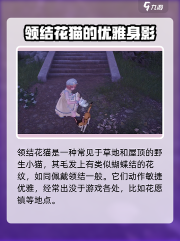 无限暖暖领结花猫在哪介绍截图2