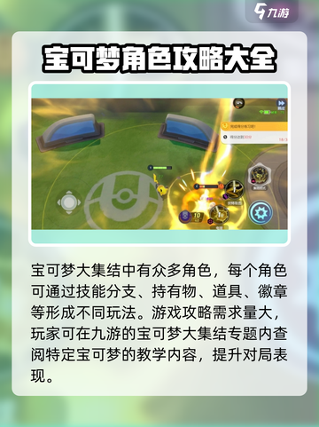 宝可梦大集结安装教程介绍截图5