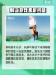 艾兰岛打不开？🔥一招教你快速解决❗截图2