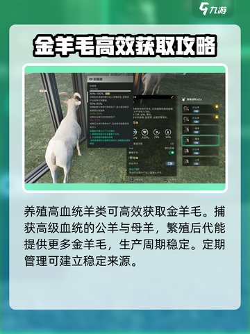 七日世界金羊毛获取攻略介绍截图5