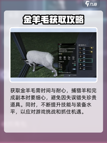 七日世界🔥金羊毛获取秘籍💡玩家必看！截图10