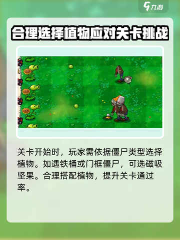 植物大战僵尸杂交版🔥好玩到停不下来！ ZombiesAttack！！截图4