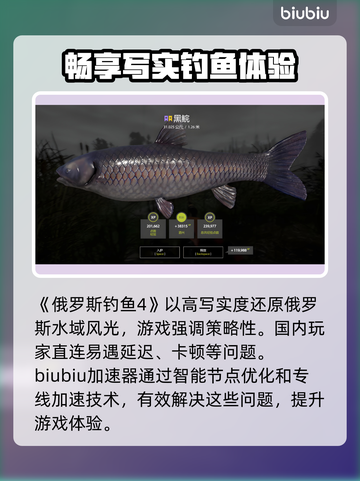 俄罗斯钓鱼4🔥加速器推荐，稳定不掉线！🎮🎣截图2