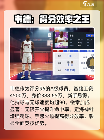 美职篮巅峰对决韦德怎么样介绍截图2