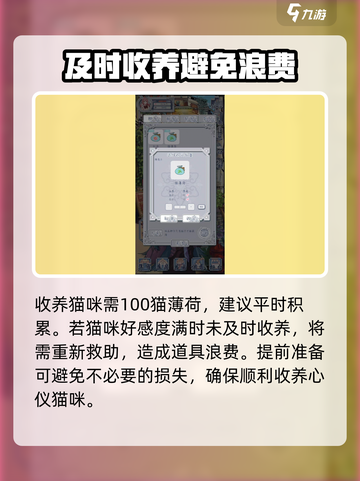 花与香水与猫猫薄荷在哪买介绍截图4
