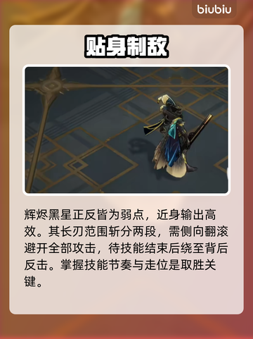 🔥辉烬黑星速通秘籍！🎮截图2