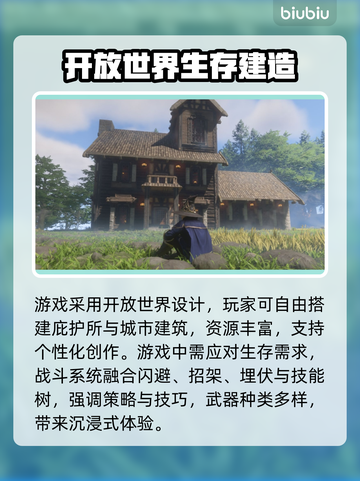 🎮雾锁王国卡顿？一招解决！💥截图2