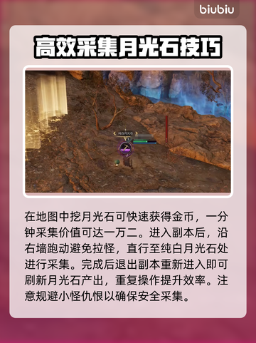 王权与自由🔥金币爆多获取方法💎截图3