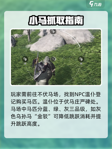 《燕云十六声抓马技巧大公开🐎》截图2