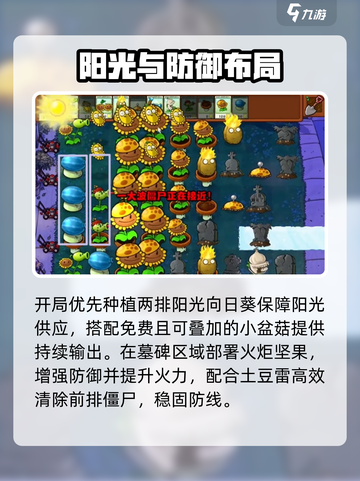 🔥植物大战僵尸杂交版第6关神操作！💥截图2