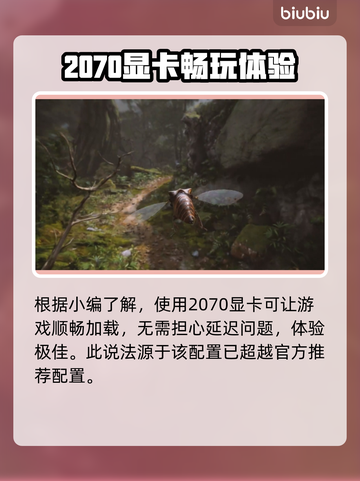 黑神话悟空🔥2070显卡轻松畅玩✔截图2