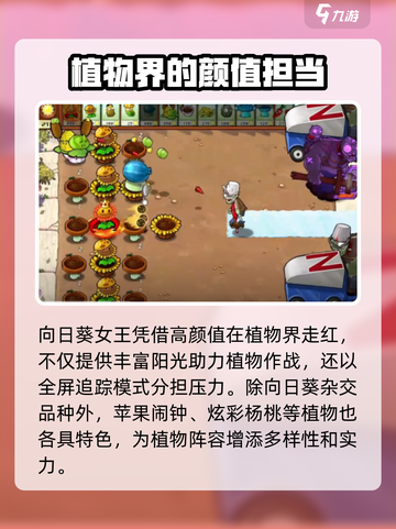 植物大战僵尸：杂交向日葵节能秘籍🔥向日葵爱好者必看！截图4