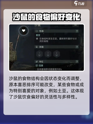 代号56沙鼠吃什么介绍截图3